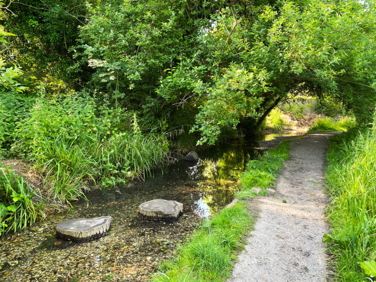 Paddling in the River Wey at Flood Meadows, Alton, Hampshire