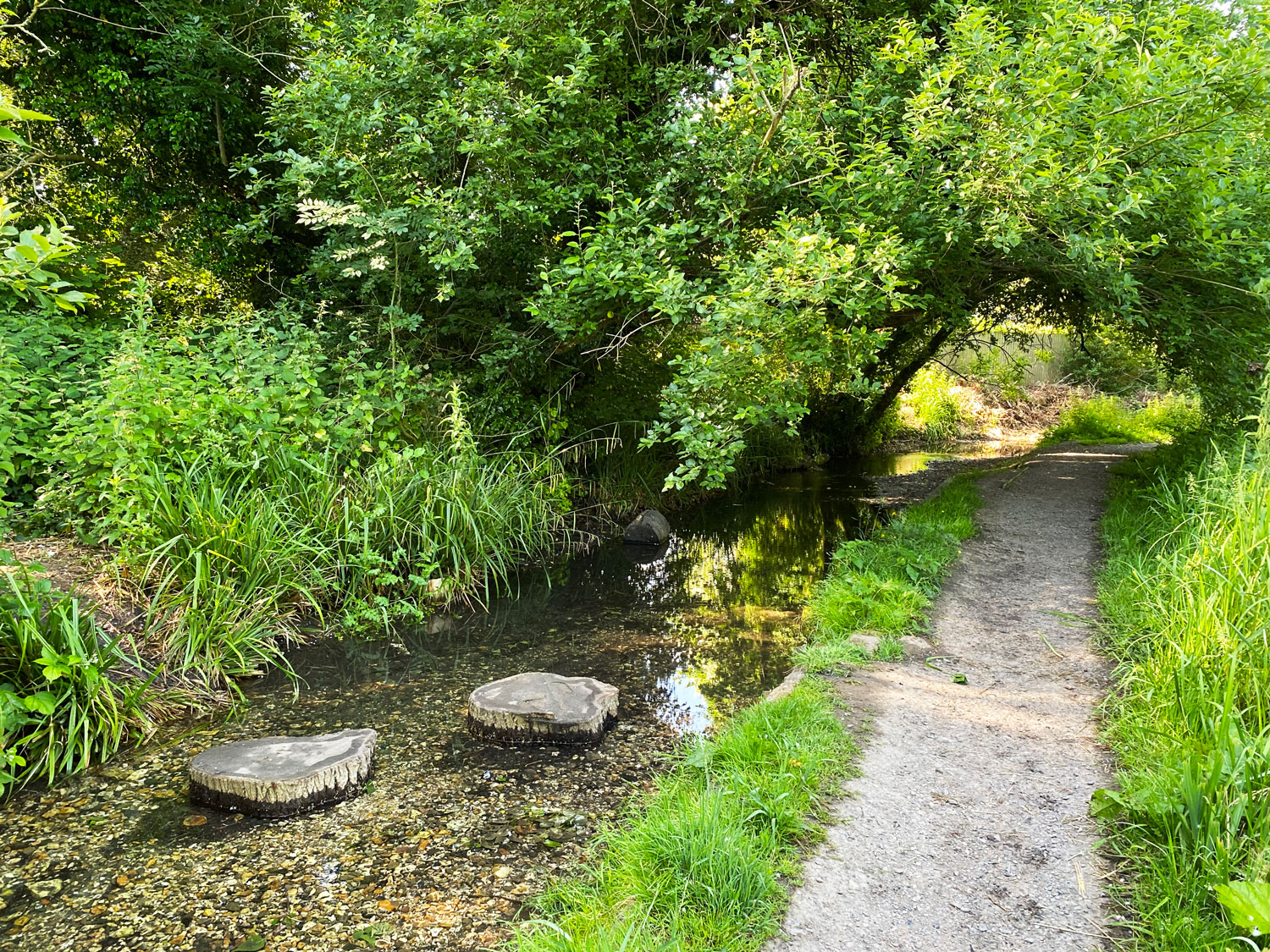 Paddling in the River Wey at Flood Meadows, Alton, Hampshire