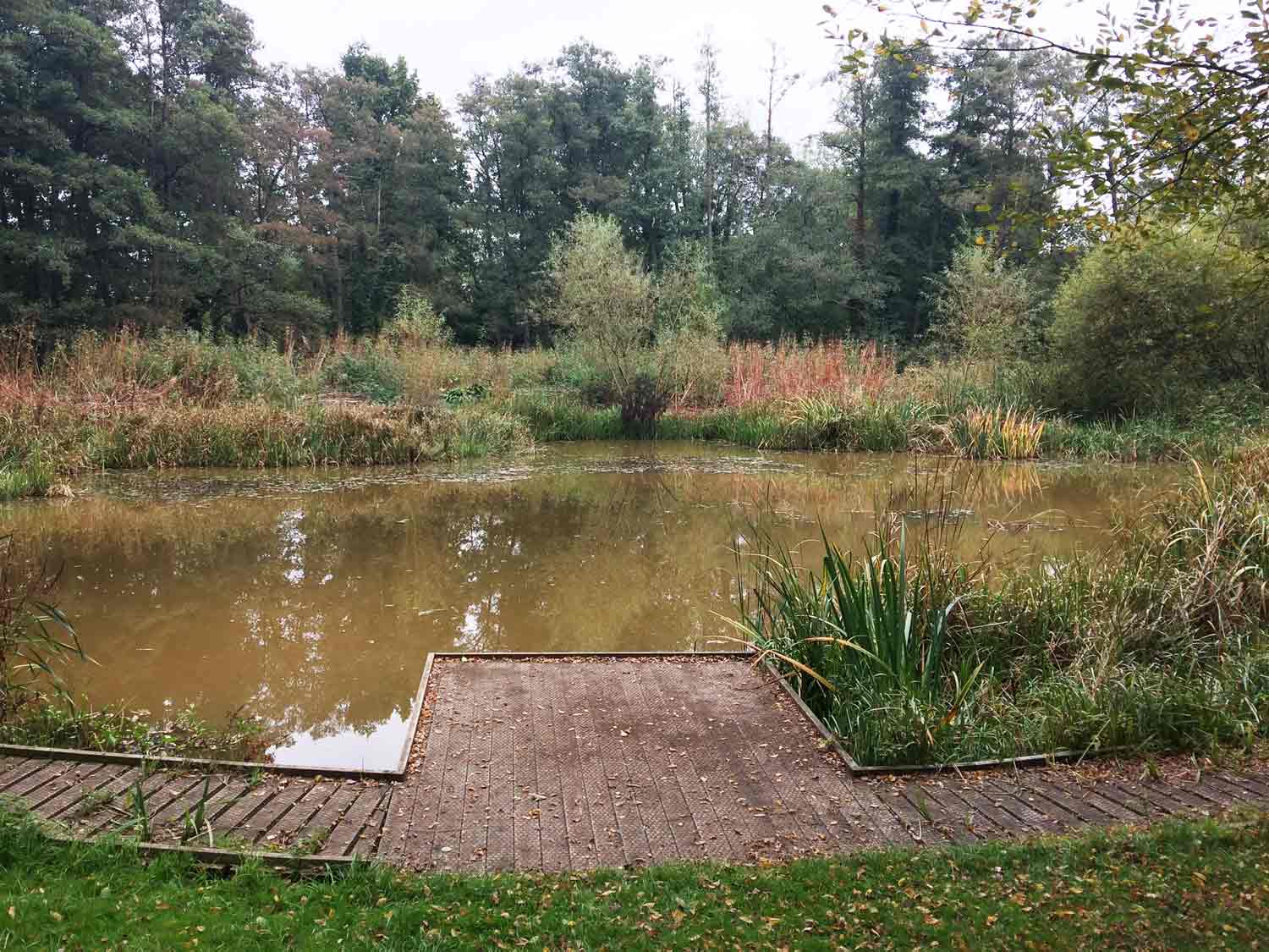 Fox Corner Community Wildlife Area in Fox Corner, Guildford, Surrey