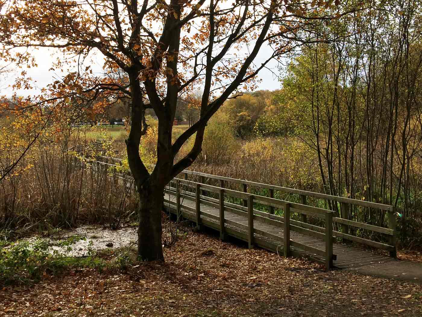 Play Areas, Arts and Orienteering at South Hill Park, Bracknell North Lake South Hill Park, Bracknell, Berkshire