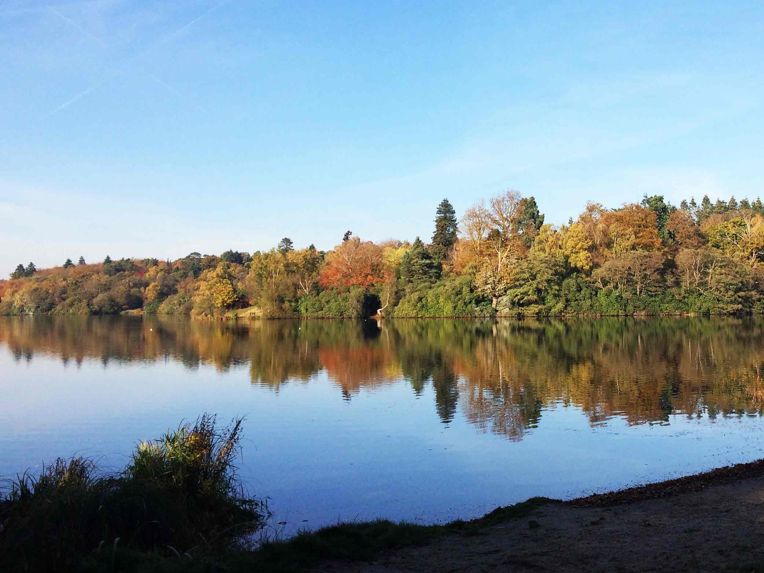 Virginia Water and the Valley Gardens