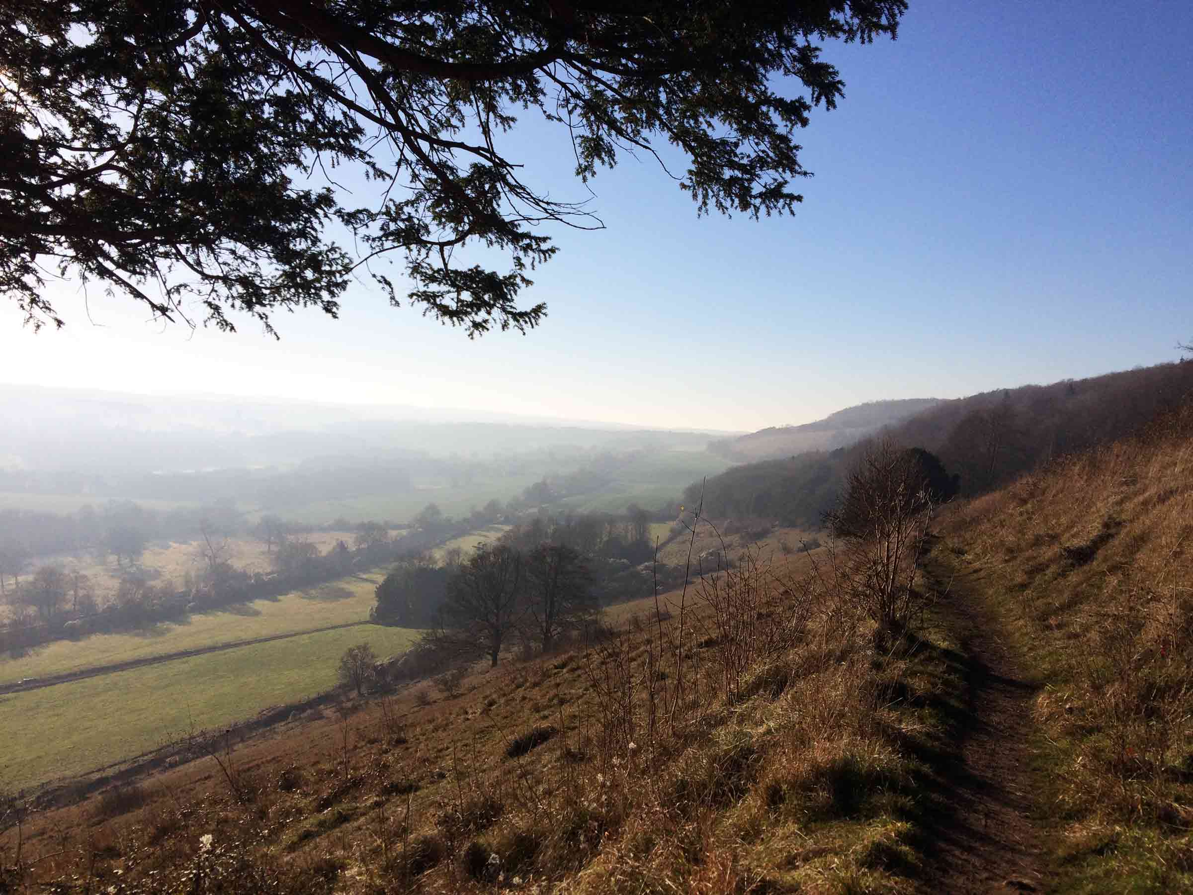 Gaze at the Views from Denbies Hillside, Dorking Denbies Hillside, Dorking