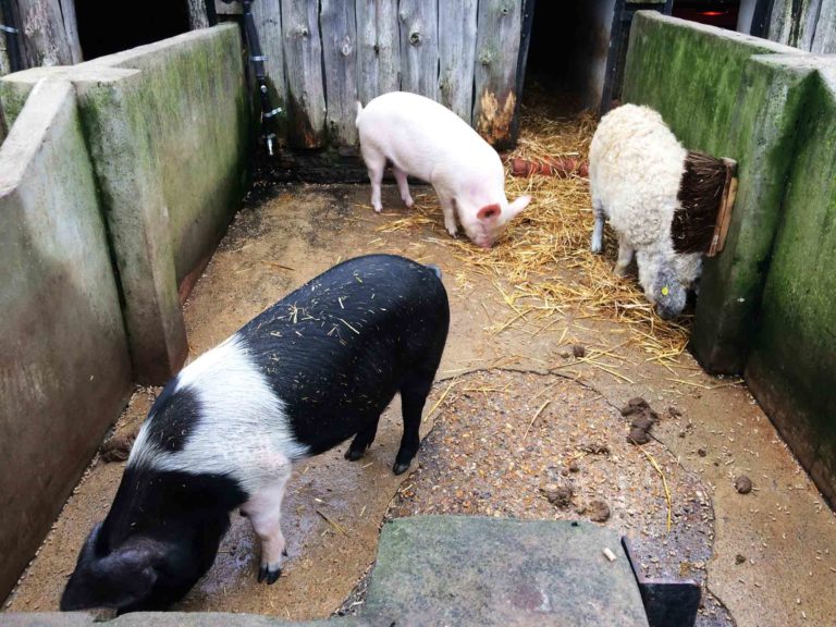 Manor Farm at the River Hamble Country Park in Bursledon, Near Southampton, Hampshire