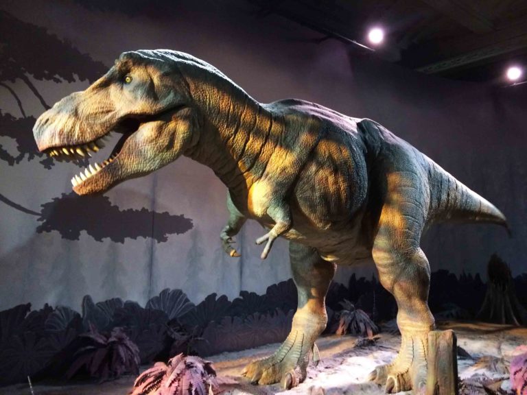 Natural History Museum, London