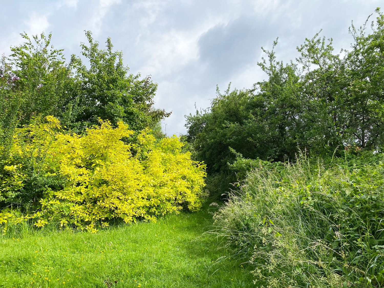 Tongham Moors Play Area, Tongham, Near Aldershot, Surrey