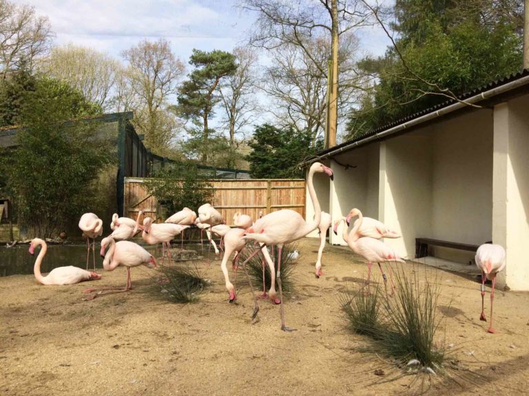 Birdworld and Underwater World, Farnham, Surrey
