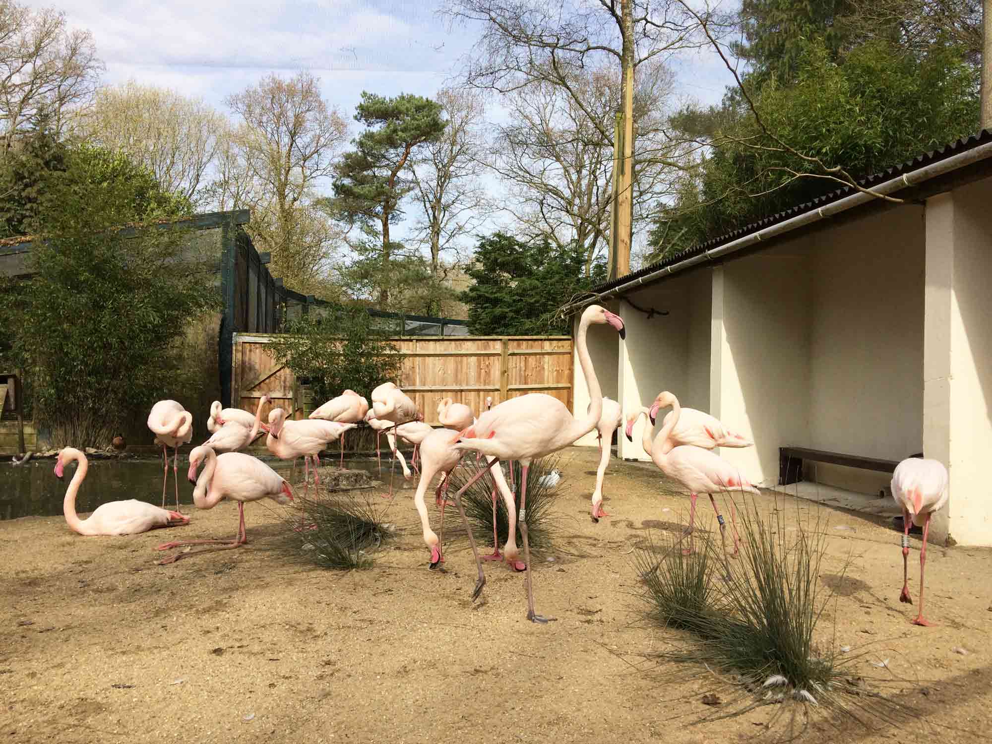 Birdworld and Underwater World, Farnham Birdworld and Underwater World, Farnham, Surrey