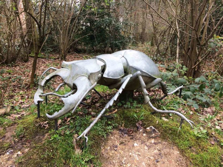 Great Binfield Copse Story Trail in Chineham and Basingstoke, Hampshire