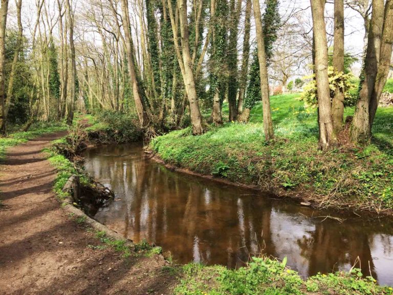 Deadwater Valley Nature Reserve, Bordon