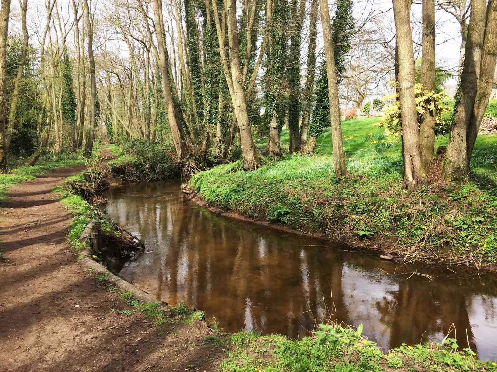 Discover The Black Pond of the Deadwater Valley NR, Bordon Deadwater Valley Nature Reserve, Bordon