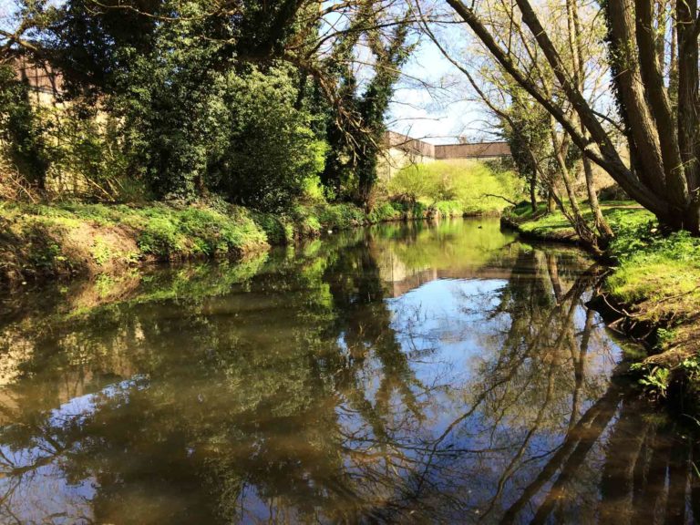 River Blackwater at Hawley Meadows, Camberley, Surrey and Blackwater Valley Path Section 6 M3 Bridge to Blackwater Park
