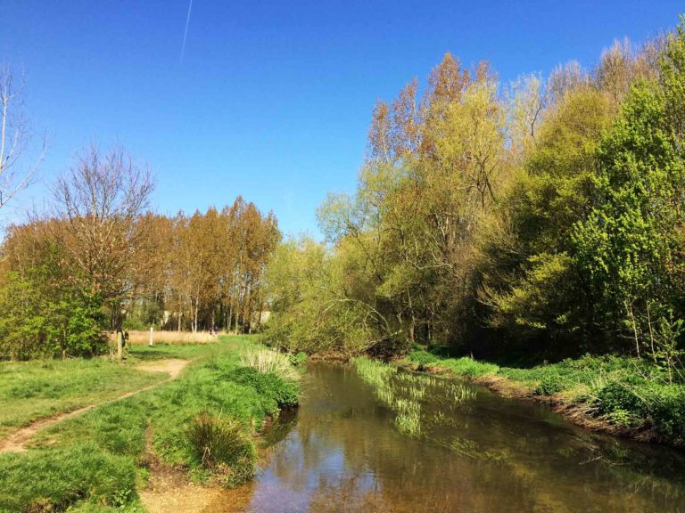 River Blackwater at Hawley Meadows, Camberley, Surrey and Blackwater Valley Path Section 6 M3 Bridge to Blackwater Park