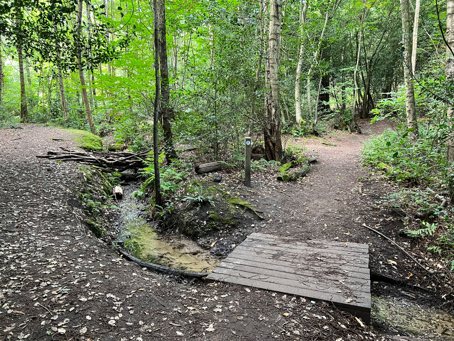 Source of the River Blackwater at Rowhill Nature Reserve in Aldershot, Blackwater Valley Path in Hampshire