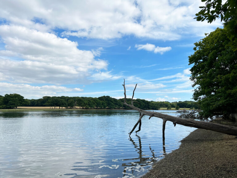 Barnfield at the River Hamble Country Park in Bursledon, Near Southampton, Hampshire