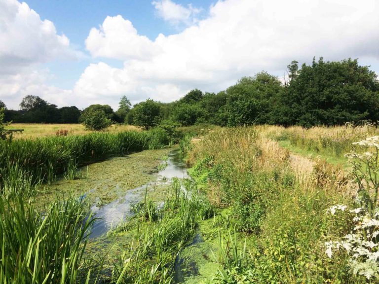 River Blackwater at Shepherd Meadows, Sandhurst in Surrey and Blackwater Valley Path Section 7 Blackwater Park to Swan Lane