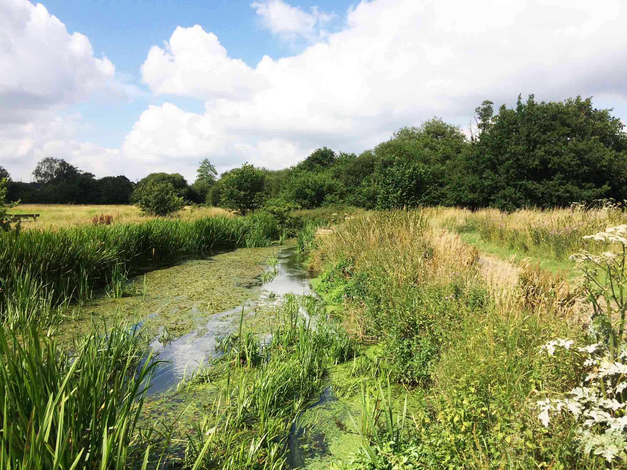 River Blackwater at Shepherd Meadows, Sandhurst in Surrey and Blackwater Valley Path Section 7 Blackwater Park to Swan Lane