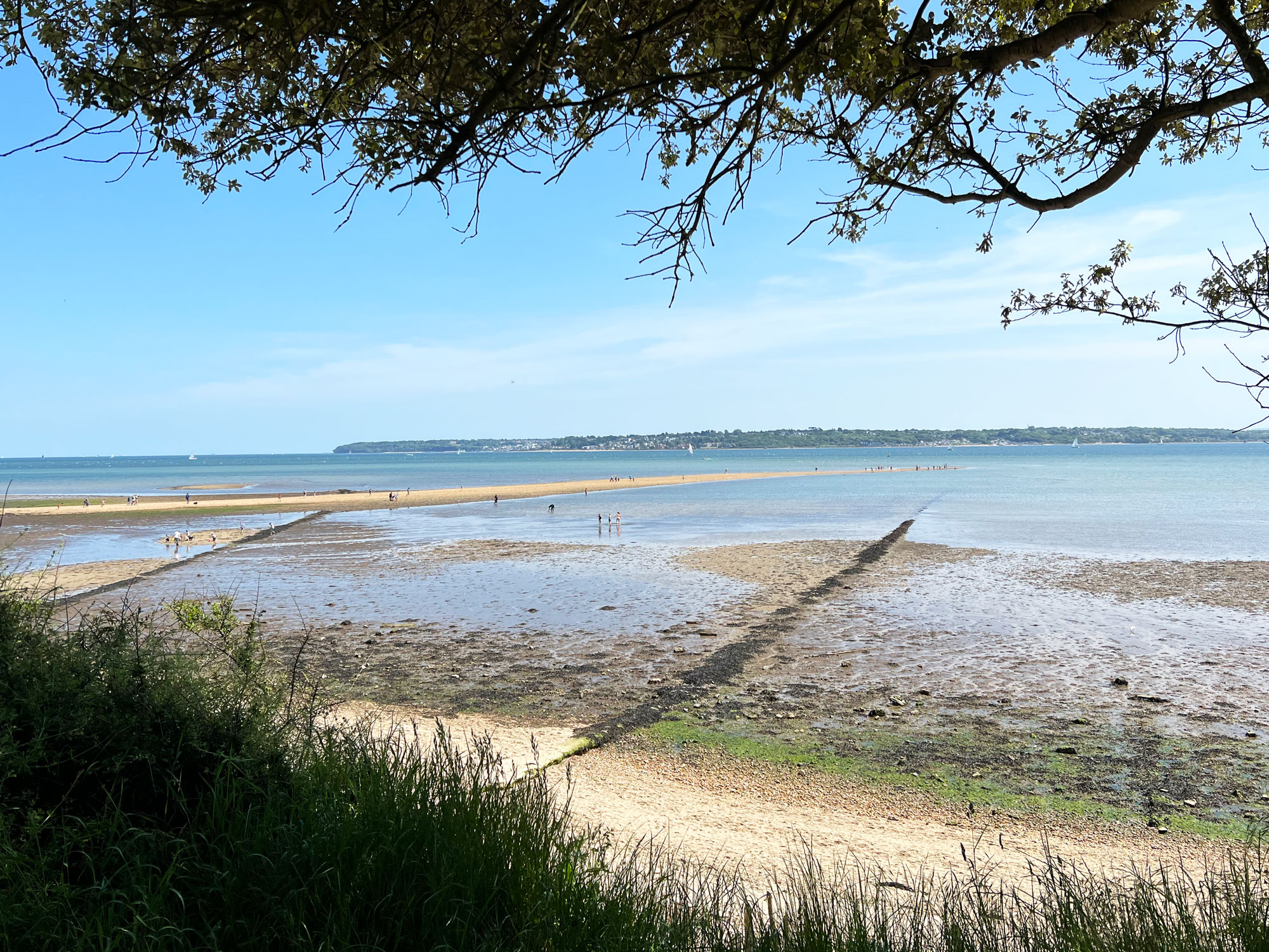 Find Fairies and Fossils at Lepe Country Park, Exbury Lepe Beach and Lepe Country Park in Exbury, New Forest Hampshire