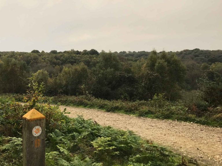 Headley Heath, Leatherhead, Surrey
