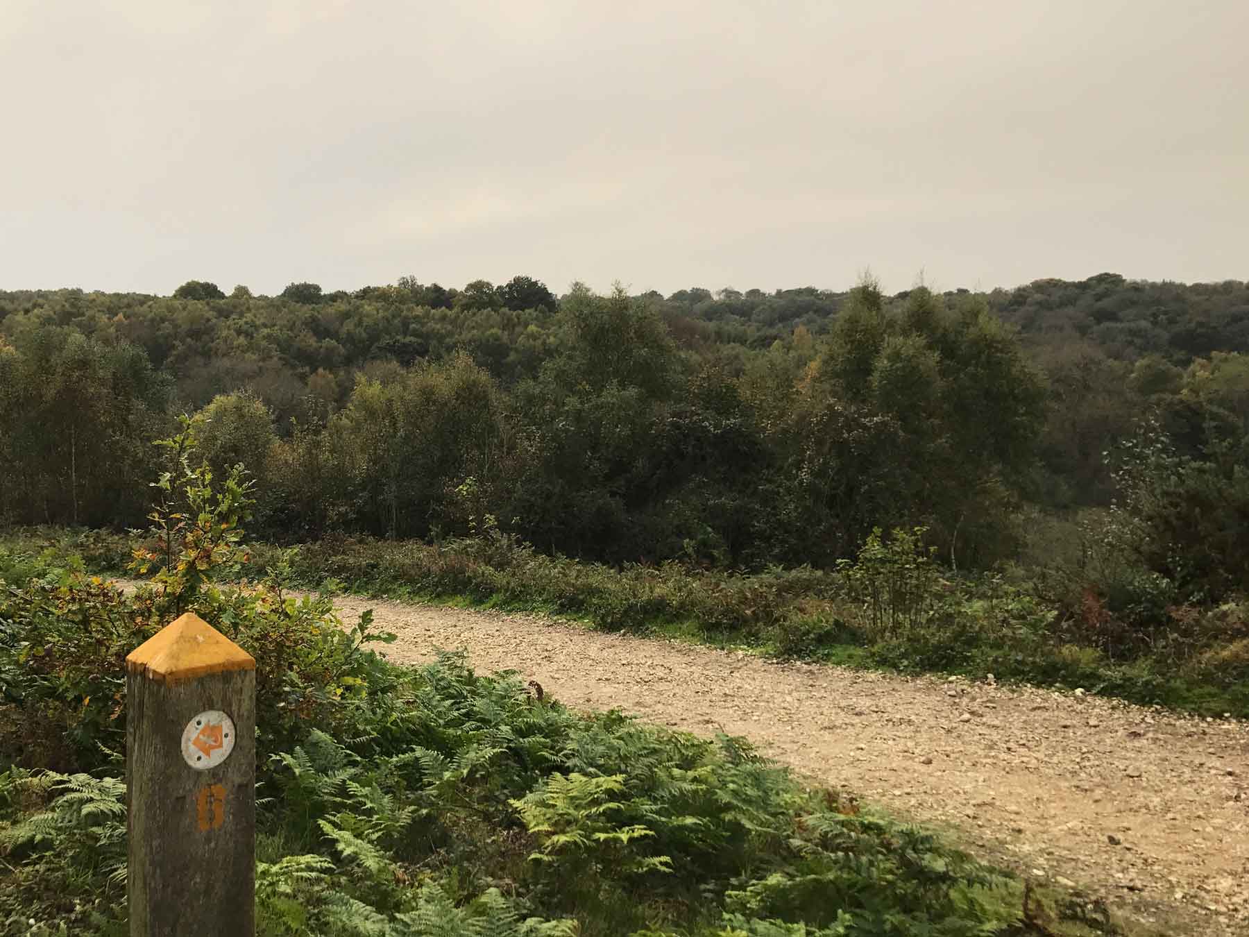 Headley Heath, Leatherhead, Surrey
