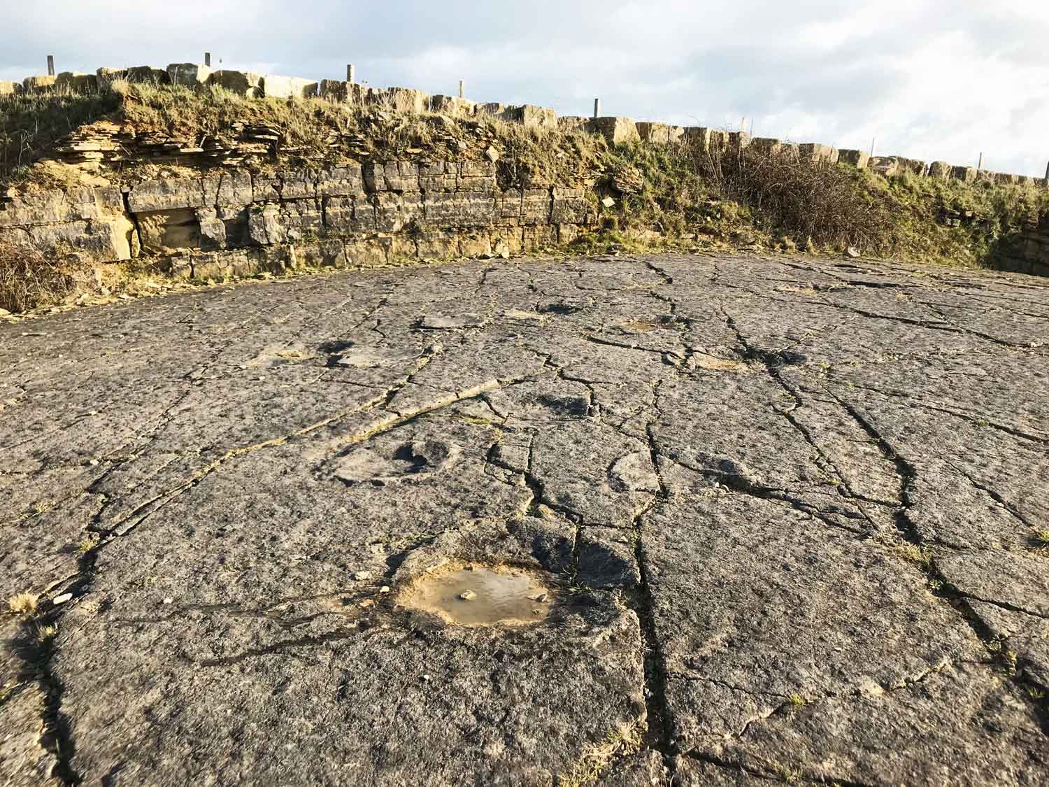Stand in Dinosaur Footprints at Spyway, Swanage Dinosaur Footprints, Keates Quarry, Spyway, Langton Matravers, Swanage, Dorset