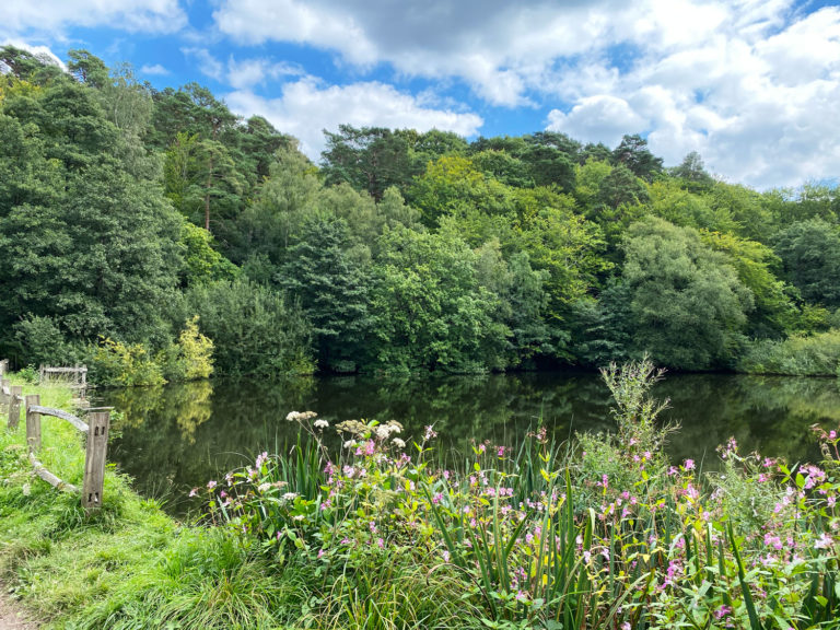 Friday Street Mill Pond, Surrey Hills