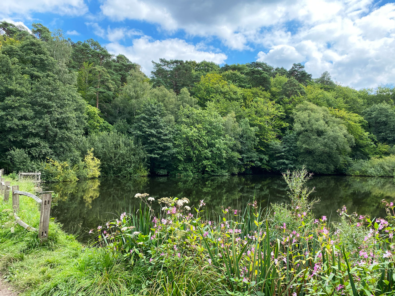 Friday Street Mill Pond, Surrey Hills