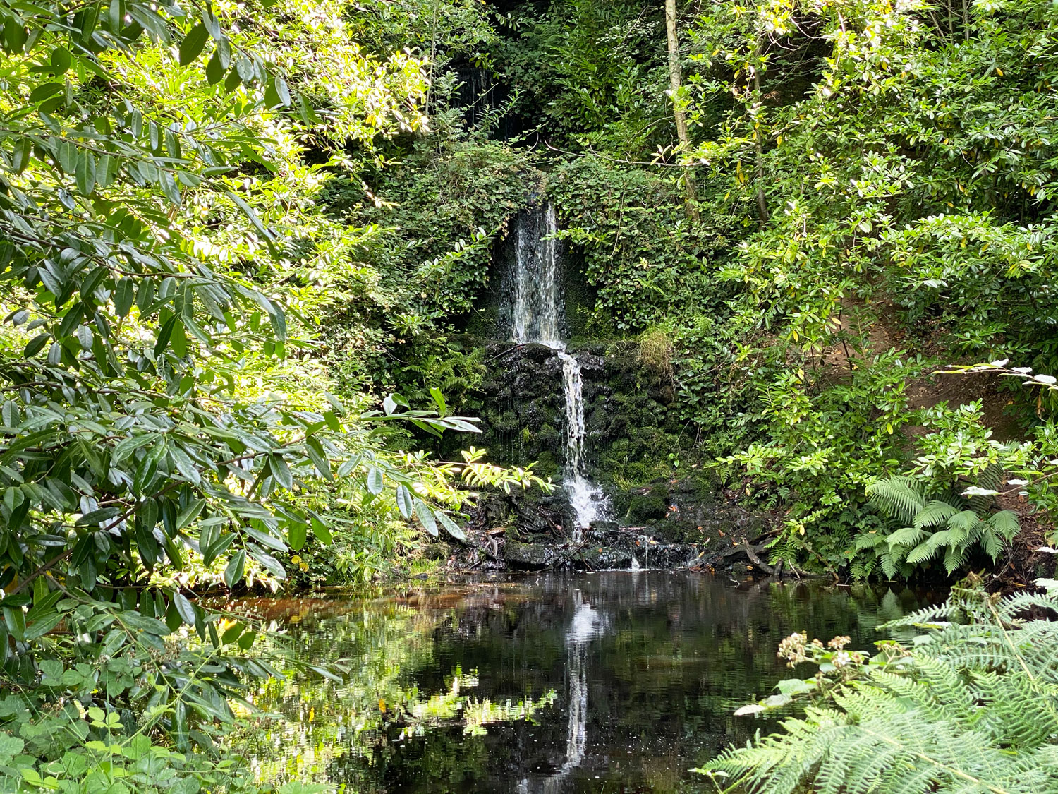 Tillingbourne Waterfall, Broadmoor, Leith Hill, Surrey Hills