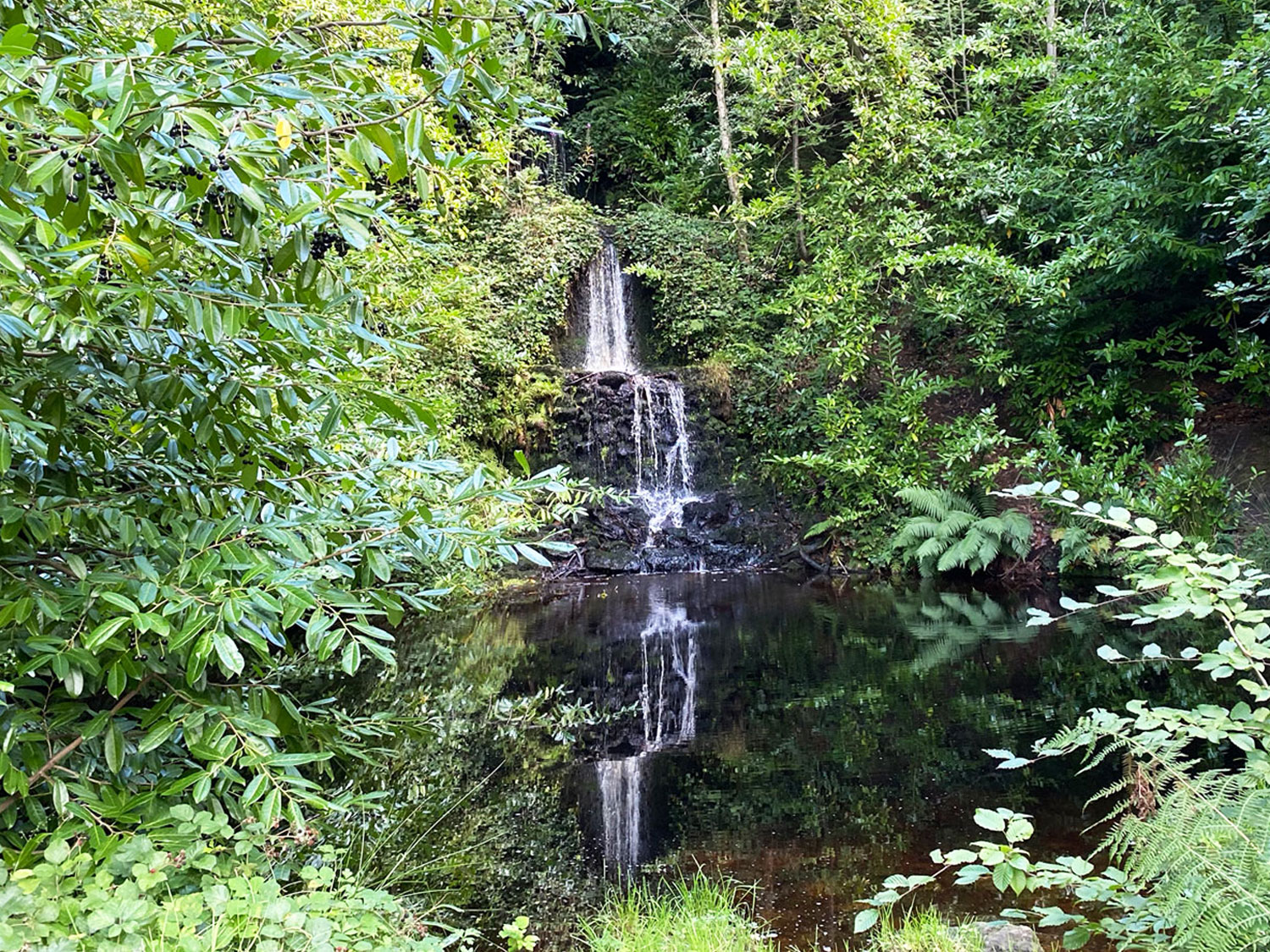 Where to Go... to Walk to a Waterfall Tillingbourne Waterfall, Broadmoor, Leith Hill, Surrey Hills