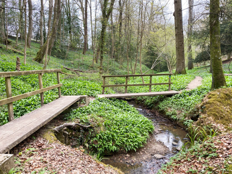 Wallis Wood, Walliswood, Cranleigh