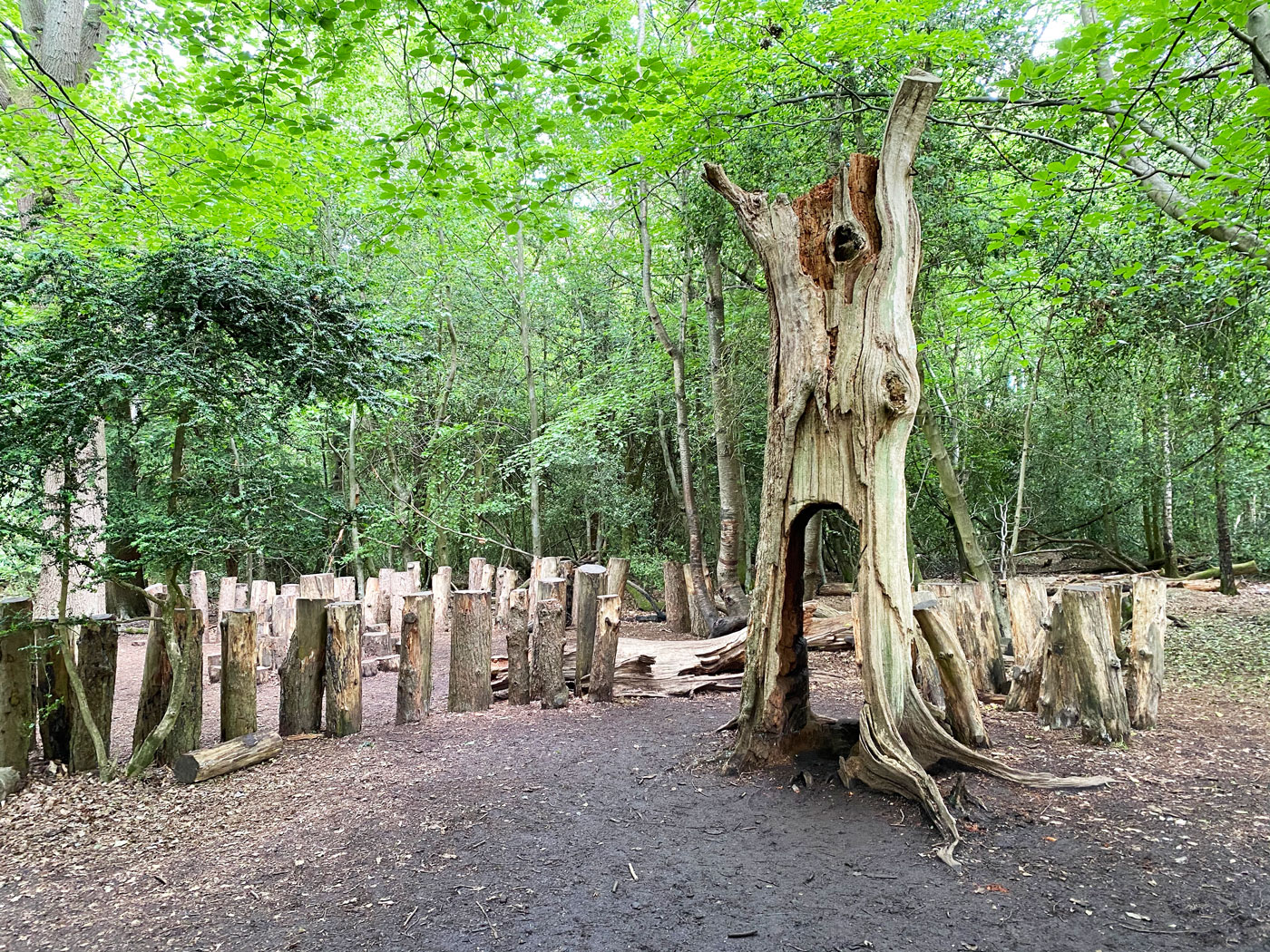 Scramble Along the Natural Play Trail at Box Hill, Dorking Box Hill Play Trail, Box Hill, Dorking, Surrey