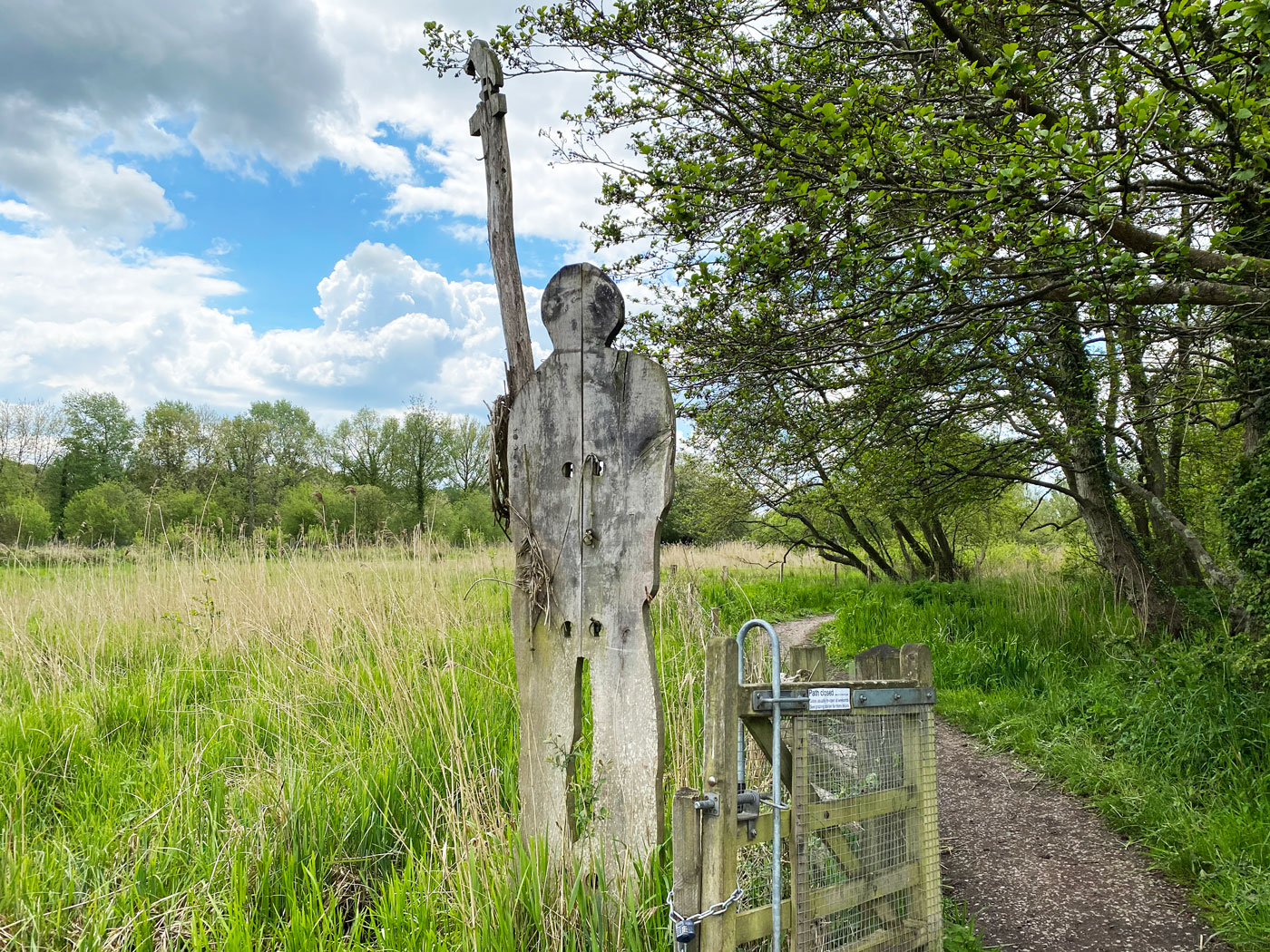 Save King Fisher on the Winnall Moors Story Trail, Winchester Winnall Moors Story Trail, Winnall Moors Nature Reserve, Winchester, Hampshire