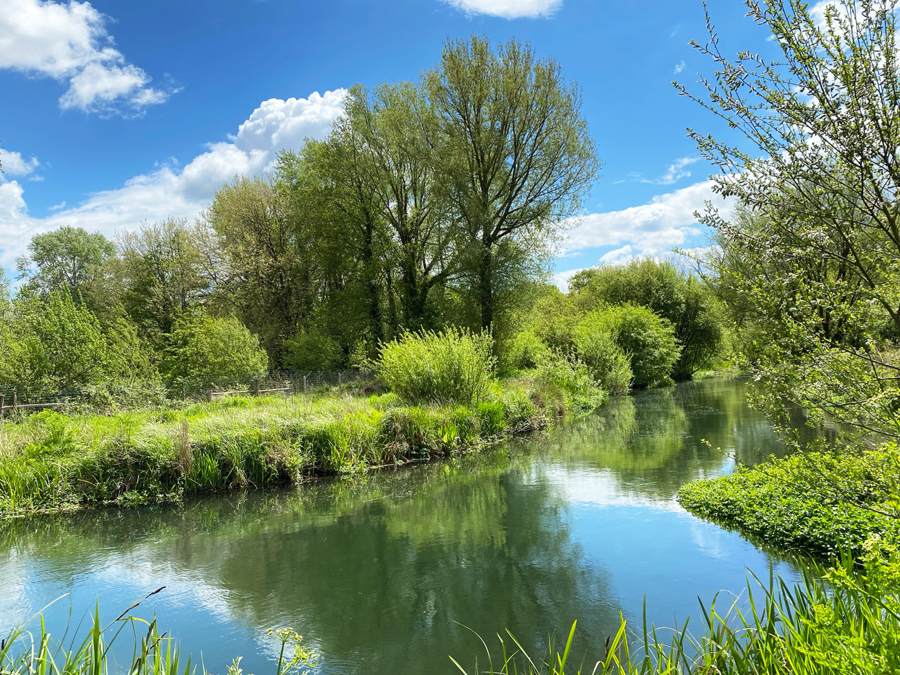 Meander Through Winnall Moors Nature Reserve, Winchester Winnall Moors Nature Reserve, Winchester, Hampshire