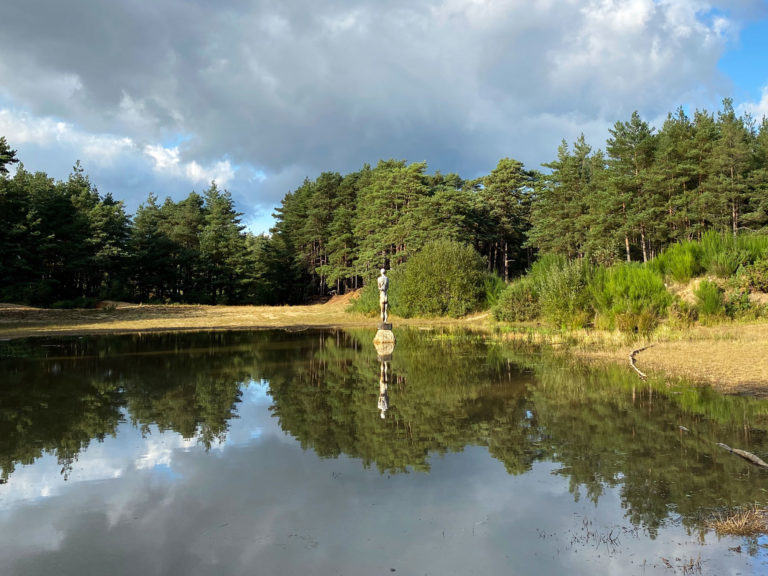 Hogmoor Inclosure, Bordon, Hampshire