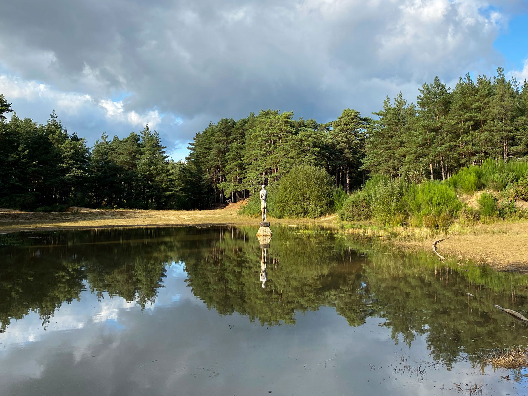 Find the Sentinels at Hogmoor Inclosure, Bordon Hogmoor Inclosure, Bordon, Hampshire