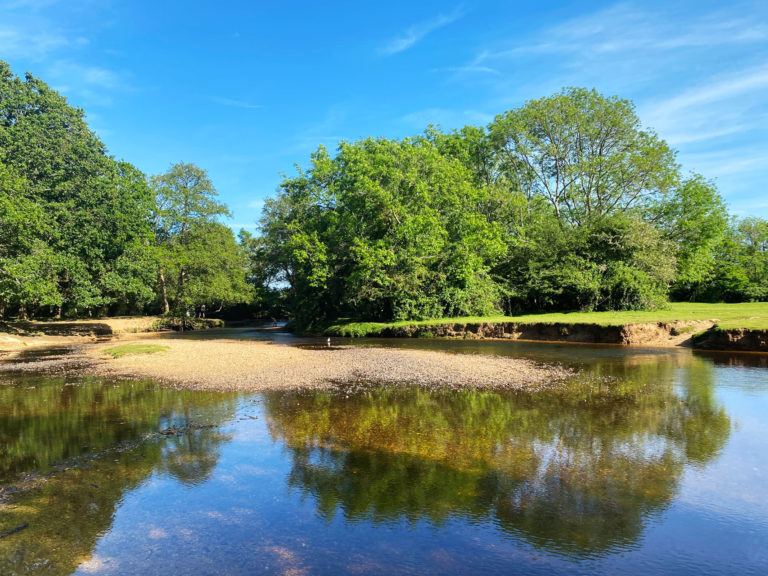 Balmer Lawn Paddling, Lymington River, Brockenhurst, New Forest, Hampshire