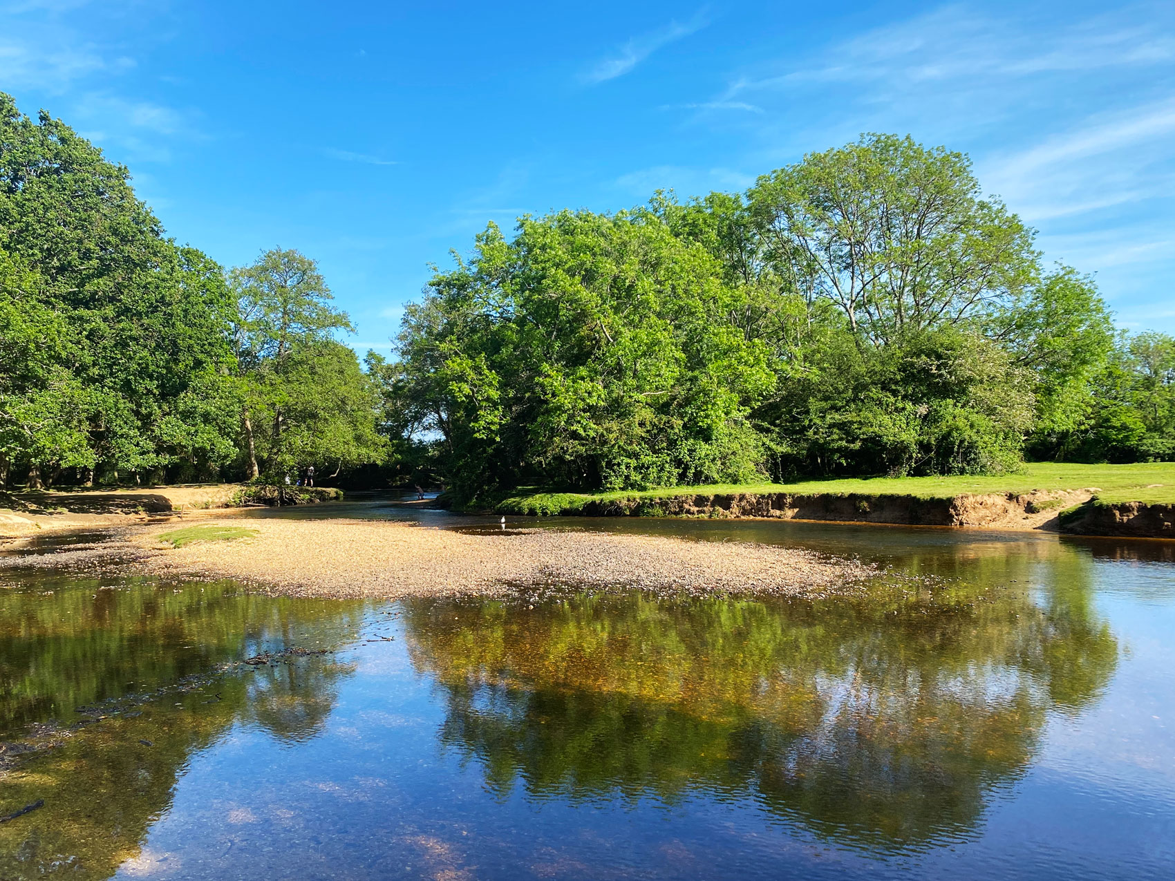Balmer Lawn Paddling, Lymington River, Brockenhurst, New Forest, Hampshire