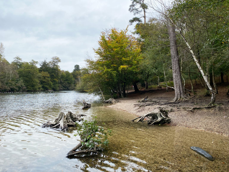 Black Park Country Park, Wexham, Slough, Berkshire