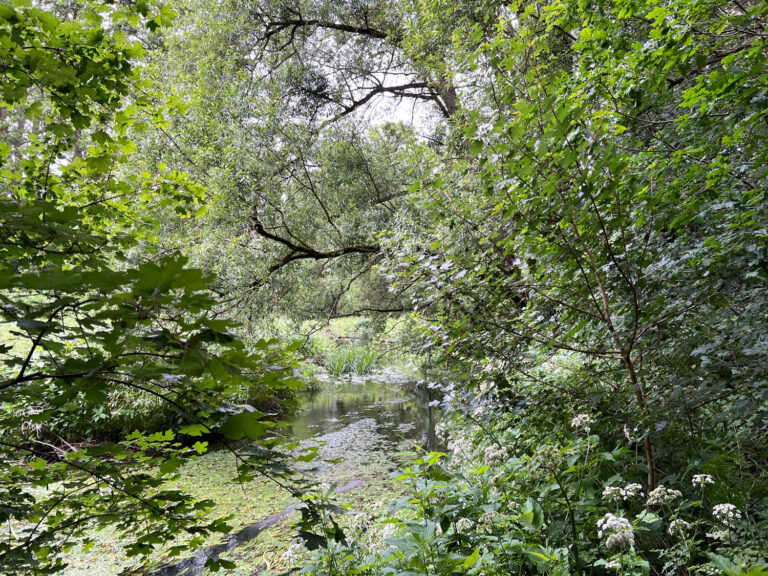 Blackwater Valley Path Section 4 Hollybush Pits to Coleford Bridge