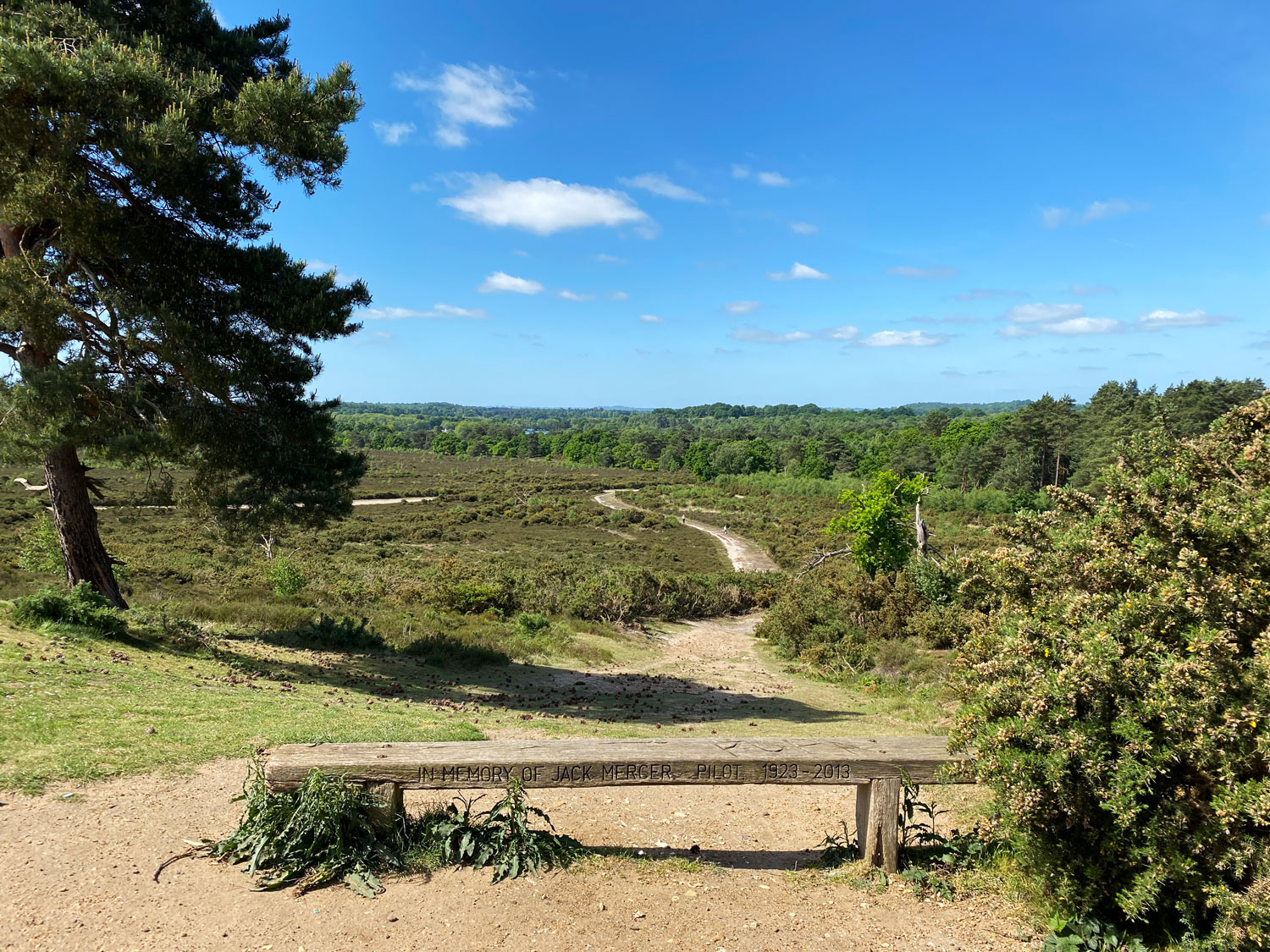 Enjoy the Views from Frensham Common, Near Farnham Frensham Common, Frensham, Near Farnham, Surrey