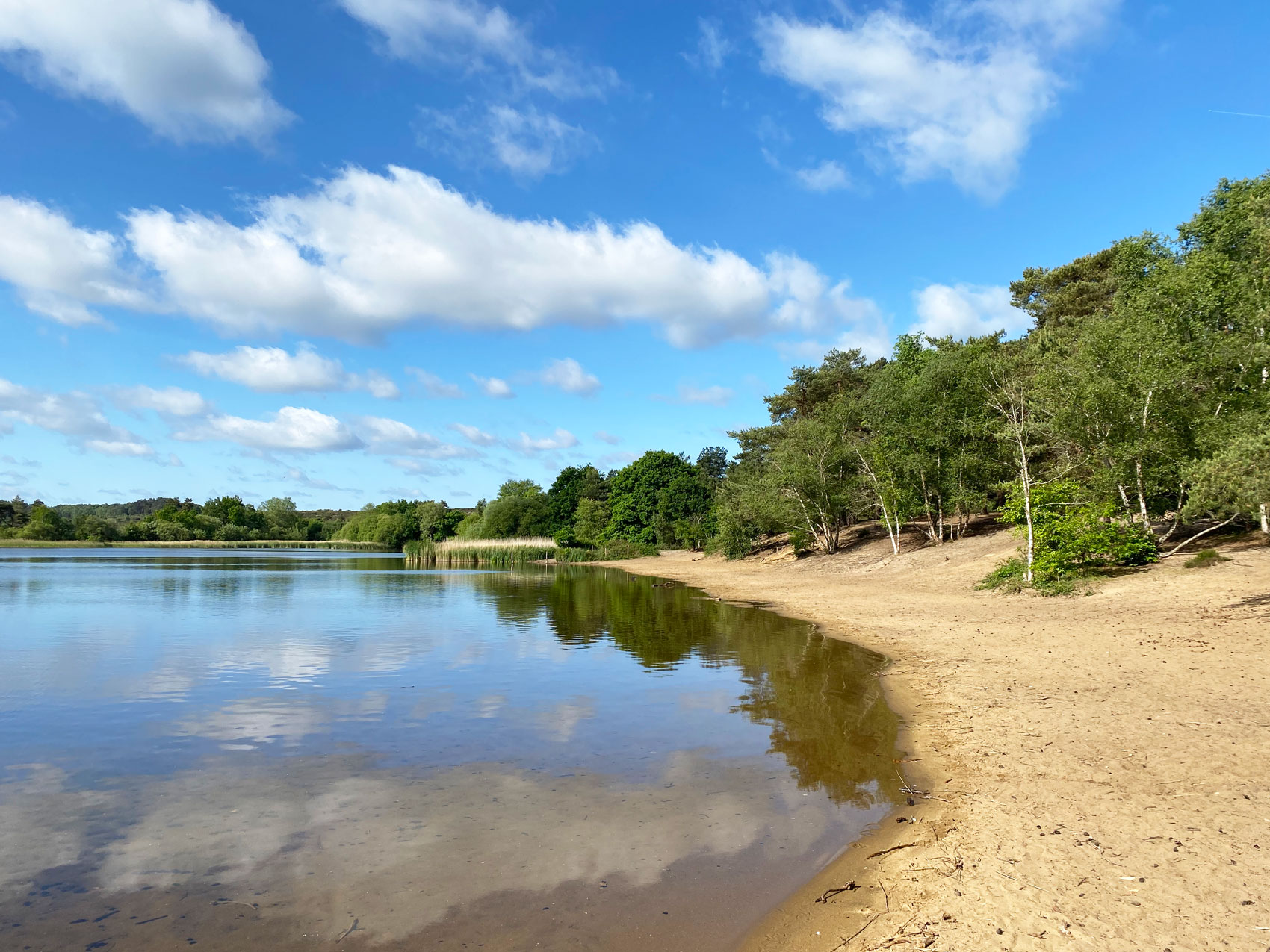 Frensham Little Pond, Frensham, Near Farnham, Surrey
