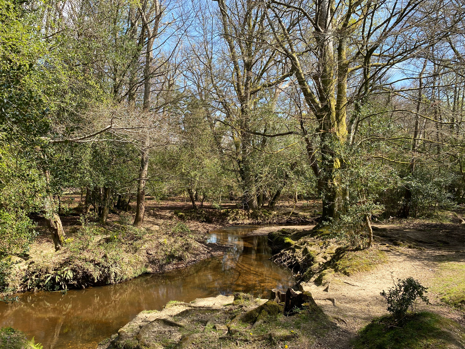 Millyford Bridge, New Forest, Near Lyndhurst, New Forest Paddling, Hampshire