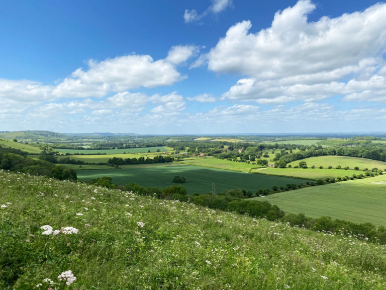 Watership Down Hill, Kingsclere, Hampshire