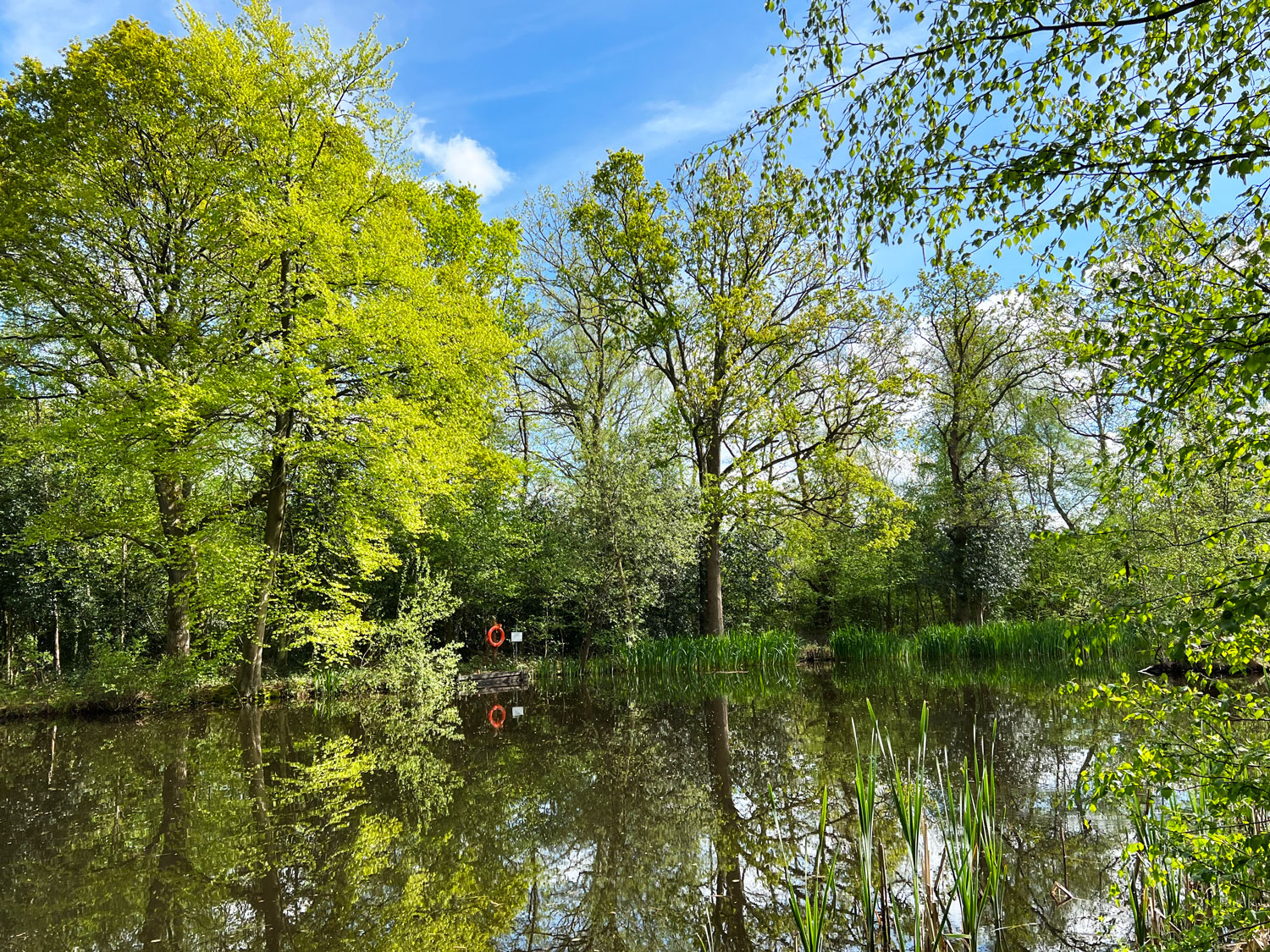 Find a Secret Orchard at Normandy Common, Guildford Normandy Common Pond Normandy Near Guildford, Surrey