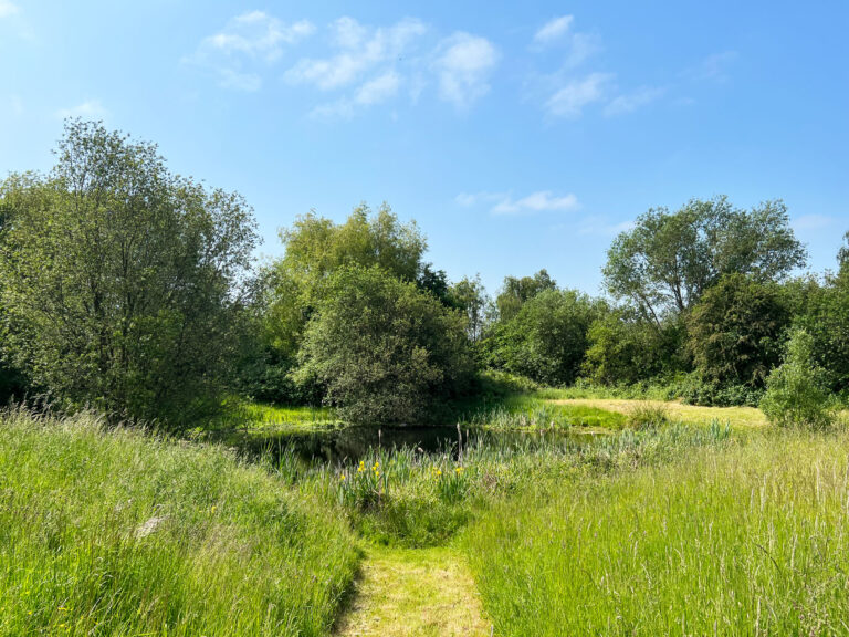 Rowan Field in Ash, Surrey