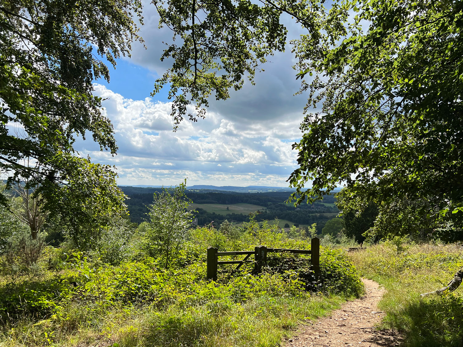 Be Enchanted by West Hanger, Shere Woodlands West Hanger in Shere Woodlands in Shere, Near Guildford, Surrey Hills