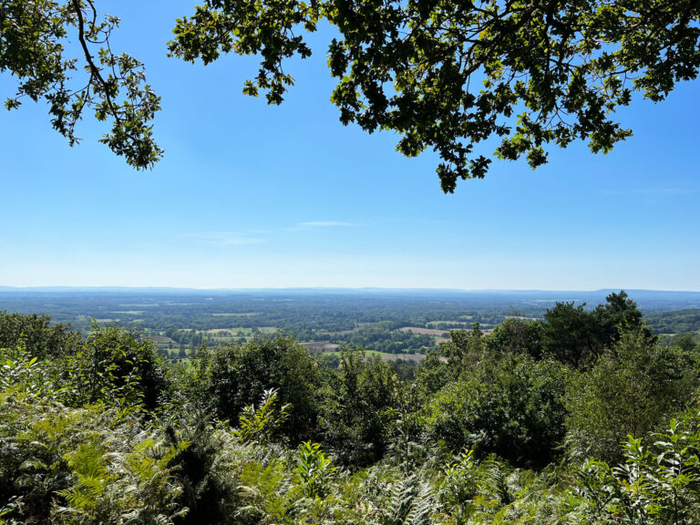 Holmbury Hill in The Hurtwood, Peaslake, Surrey Hills
