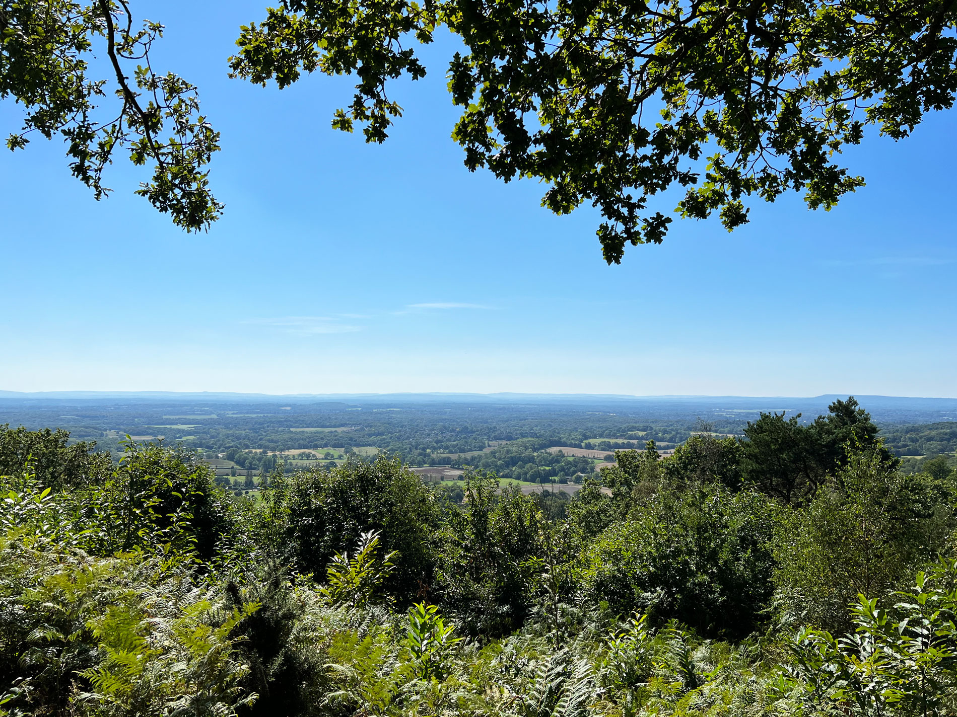 Holmbury Hill in The Hurtwood, Peaslake, Surrey Hills