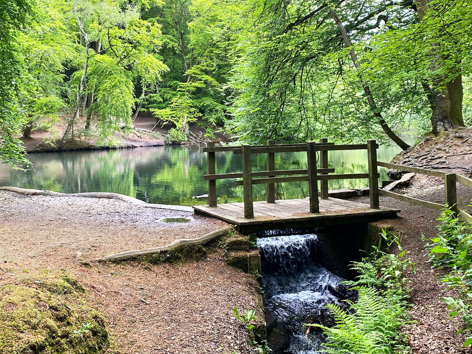 Waggoners Wells in Hindhead, National Trust