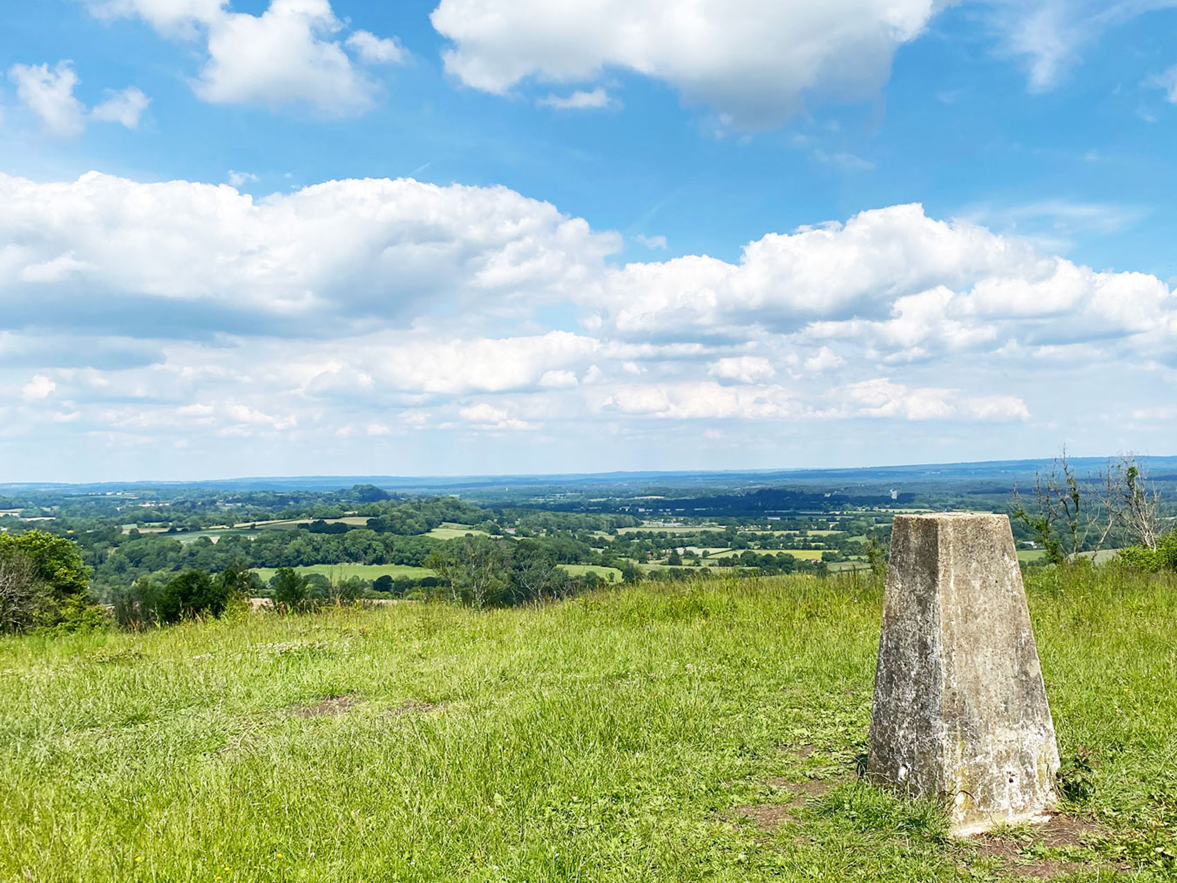 Find Cobbett's View on Wheatham Hill, Ashford Hangers Wheatham Hill in the Ashford Hangers National Nature Reserve, Steep, Petersfield