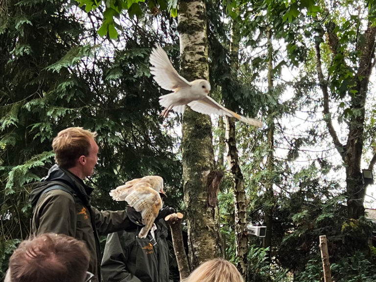Hawk Conservancy Trust in Andover, Hampshire
